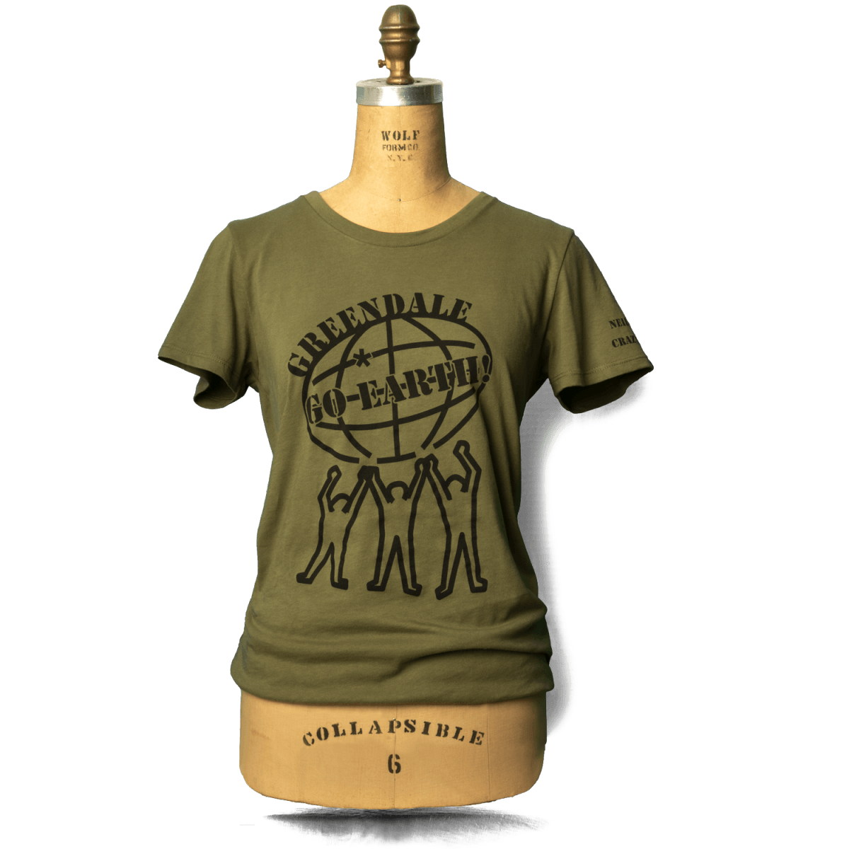 GO Earth NYCH Women's T-Shirt