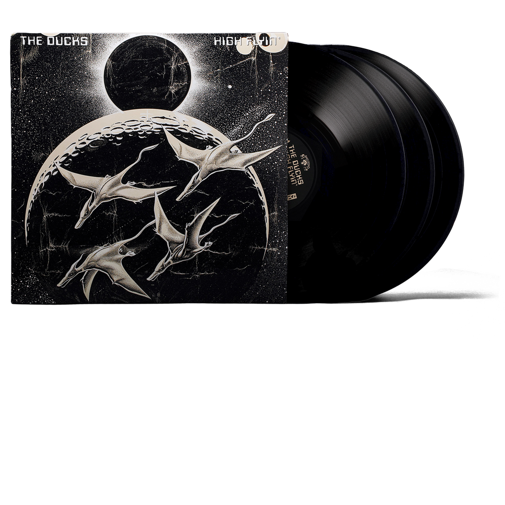 The Ducks: High Flyin' 3LP