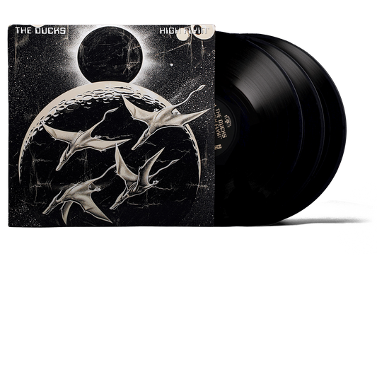The Ducks: High Flyin' 3LP