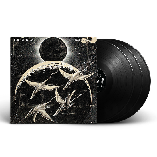 The Ducks: High Flyin' 3LP The Ducks: High Flyin' 3LP